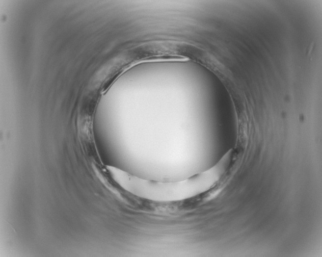 X0000054470141200508191737