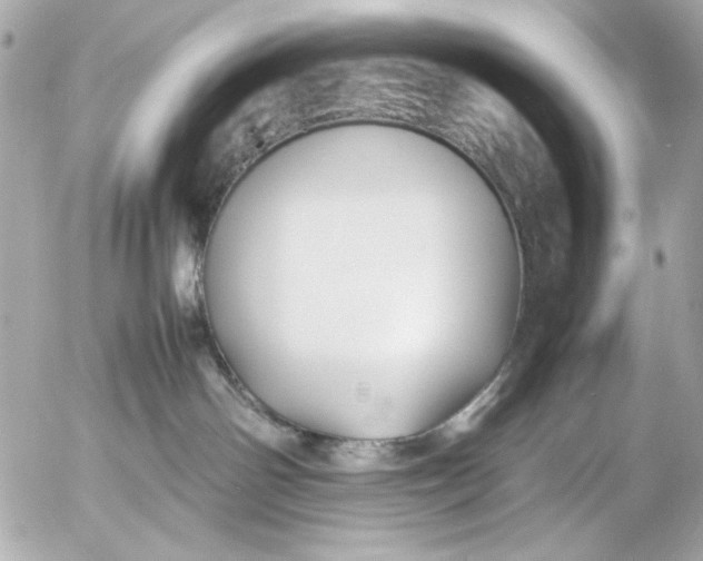 X0000054470142200508191737