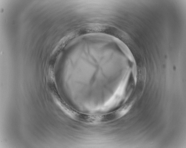 X0000054470143200508191737