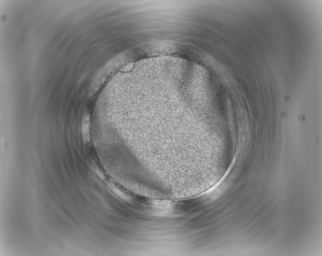 X0000054470144200508191737