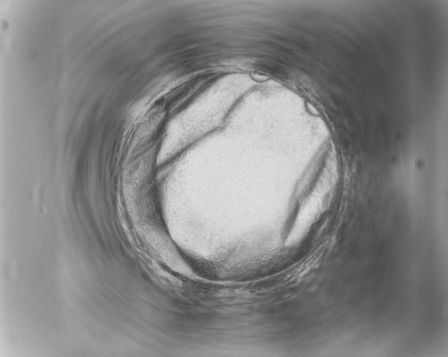 X0000054470145200508191736