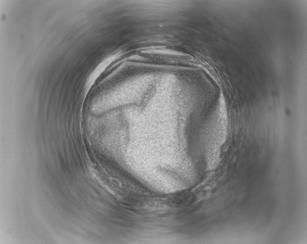 X0000054470147200508191736