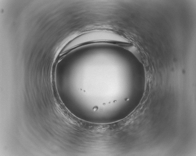 X0000054470148200508191737