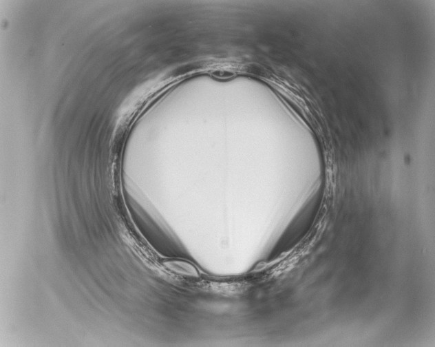 X0000054470149200508191737