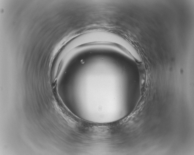 X0000054470150200508191737