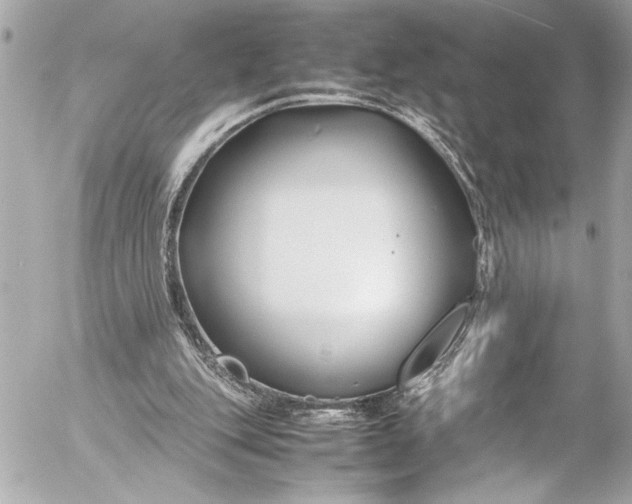 X0000054470151200508191737