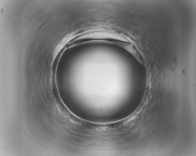 X0000054470152200508191737