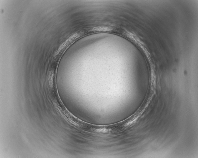 X0000054470153200508191737