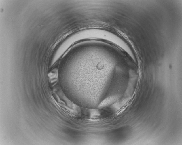 X0000054470154200508191737