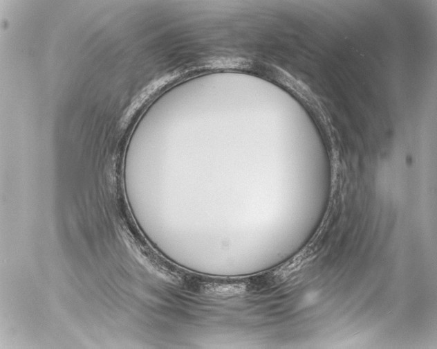 X0000054470155200508191737