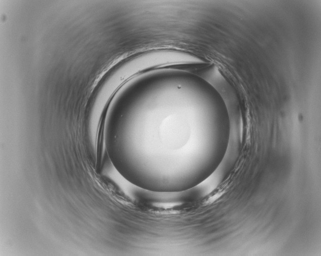 X0000054470156200508191737