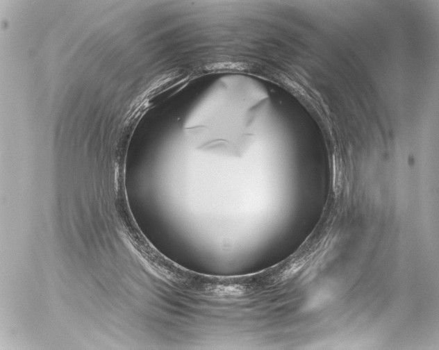 X0000054470157200508191737