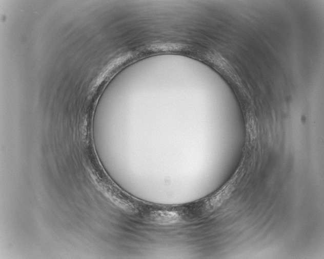 X0000054470159200508191737