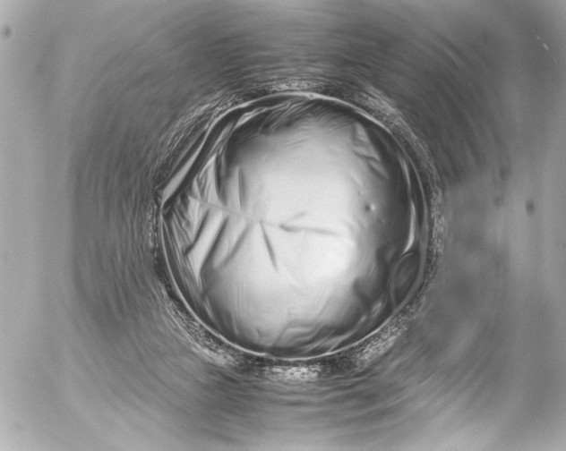 X0000054470161200508191737