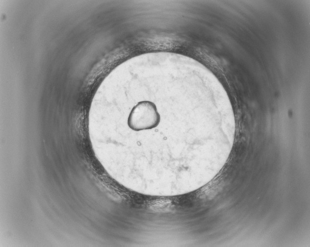 X0000054470162200508191737