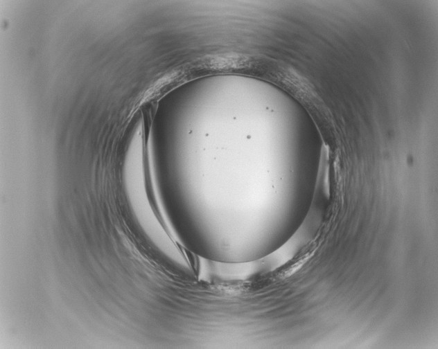 X0000054470164200508191737