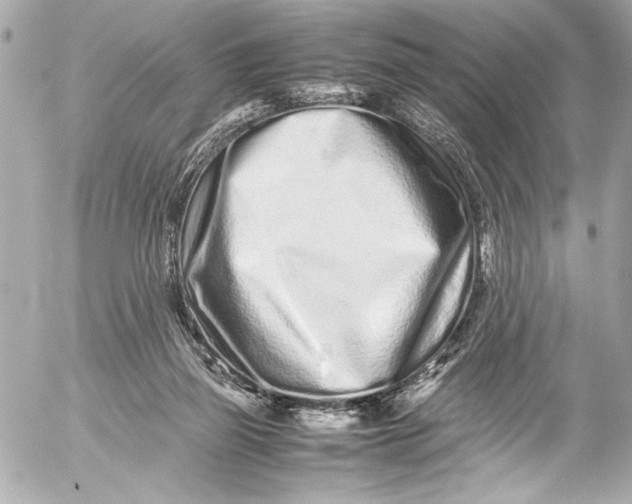 X0000054470165200508191737