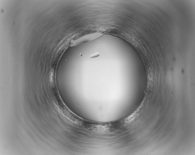 X0000054470166200508191737