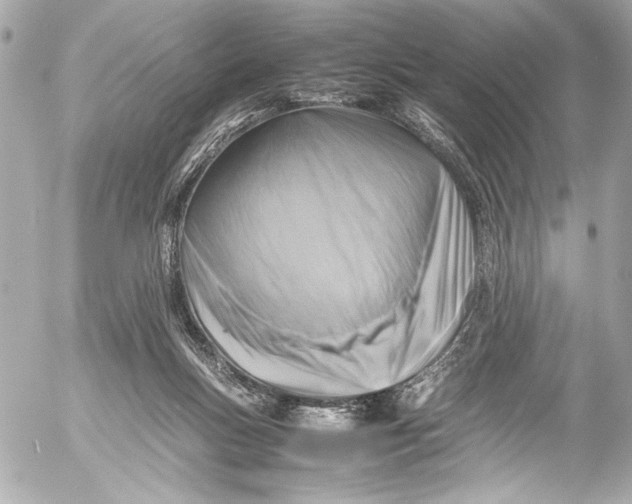 X0000054470167200508191737