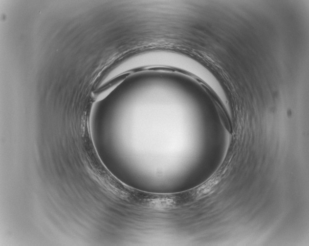 X0000054470168200508191737