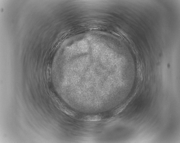 X0000054470169200508191737