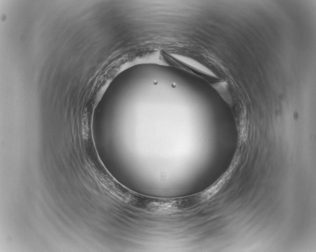 X0000054470170200508191737