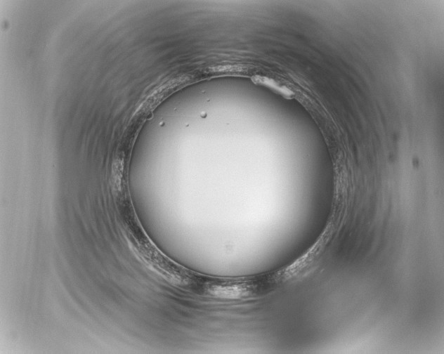 X0000054470171200508191737