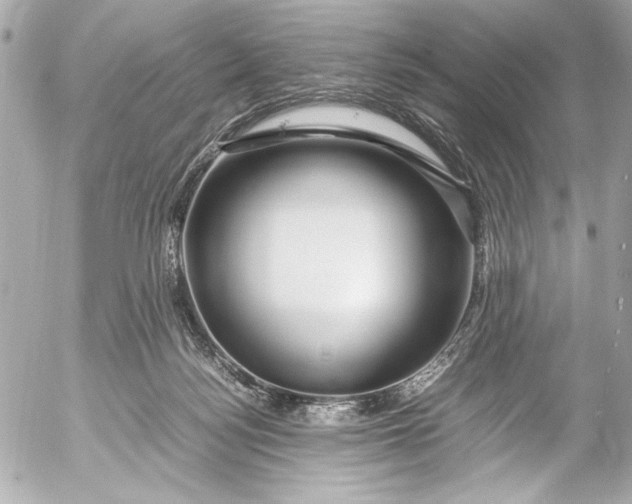 X0000054470172200508191737