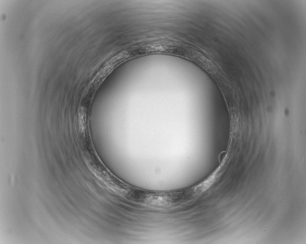 X0000054470174200508191737