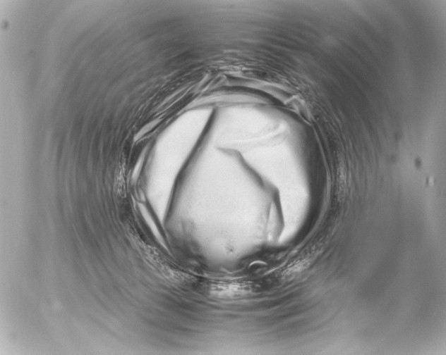 X0000054470177200508191737