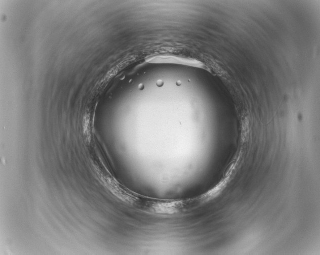 X0000054470178200508191737