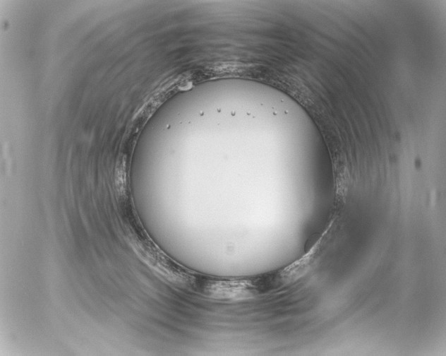 X0000054470179200508191737