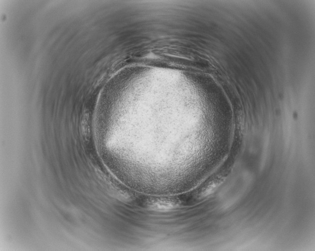 X0000054470181200508191737