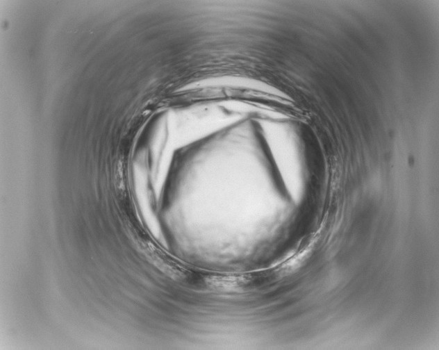 X0000054470182200508191737