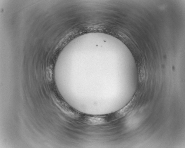 X0000054470183200508191737