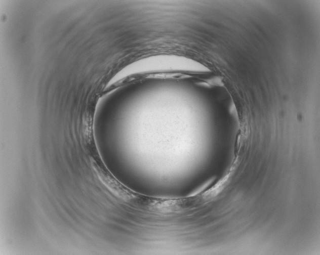 X0000054470186200508191737