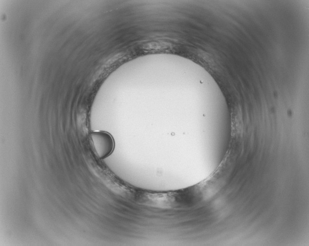 X0000054470187200508191737