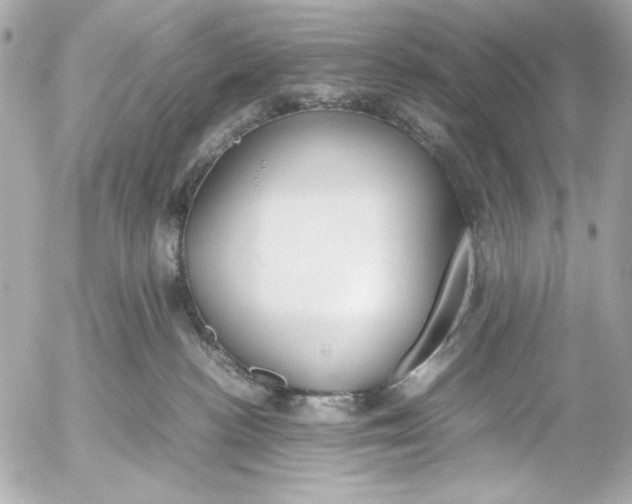 X0000054470188200508191737