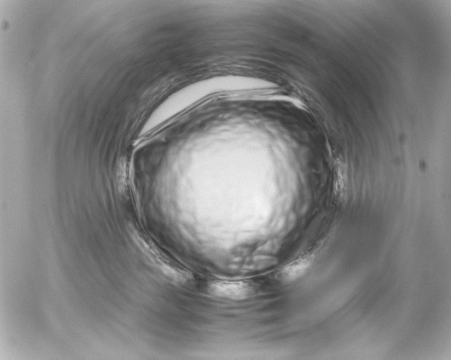 X0000054470189200508191737