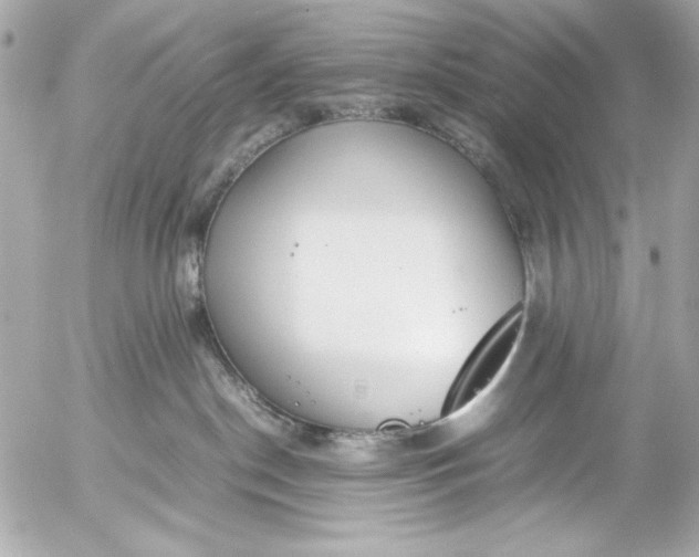 X0000054470190200508191737