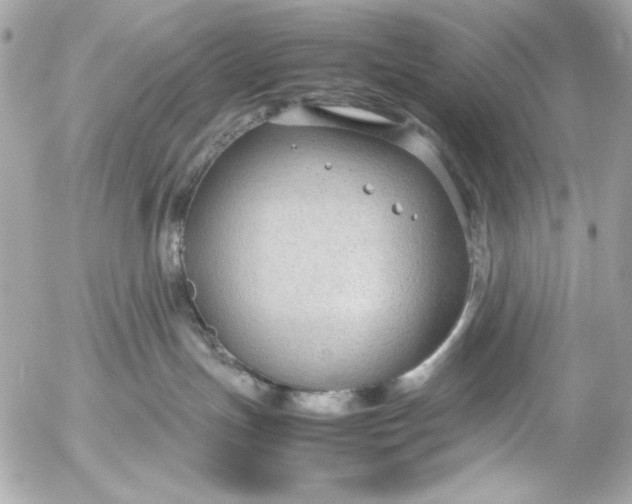 X0000054470191200508191737