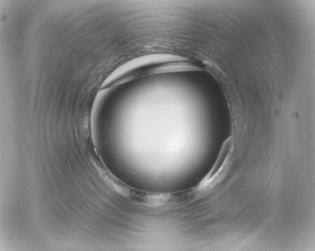 X0000054470192200508191737