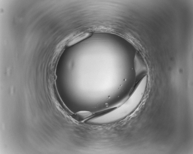 X0000054470193200508191736