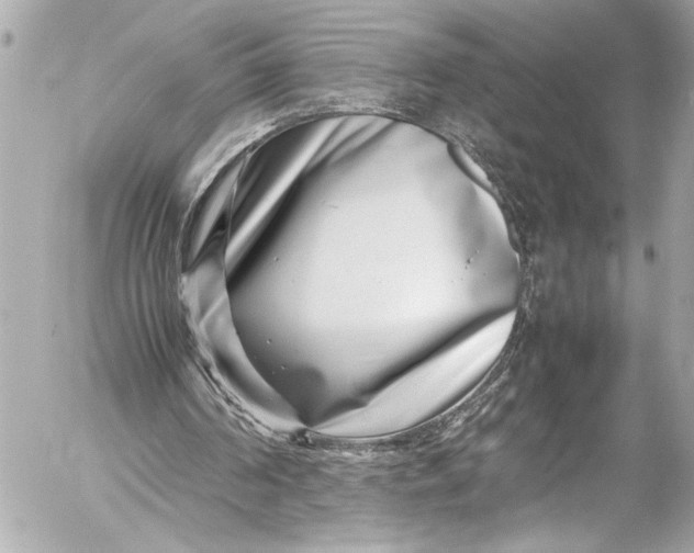 X0000054470194200508191736