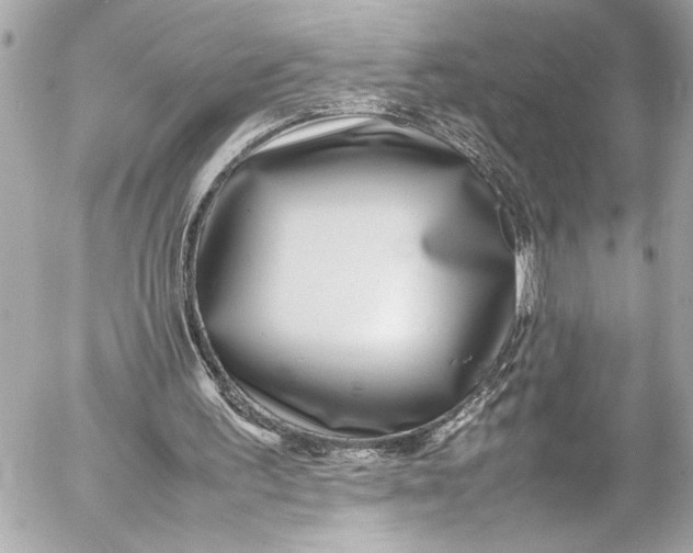 X0000054470195200508191736