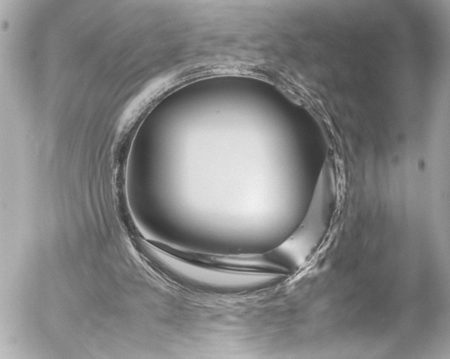 X0000054470197200508191736