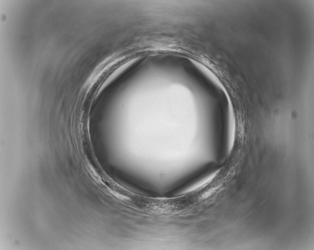 X0000054470199200508191736