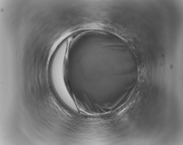 X0000054470200200508191736