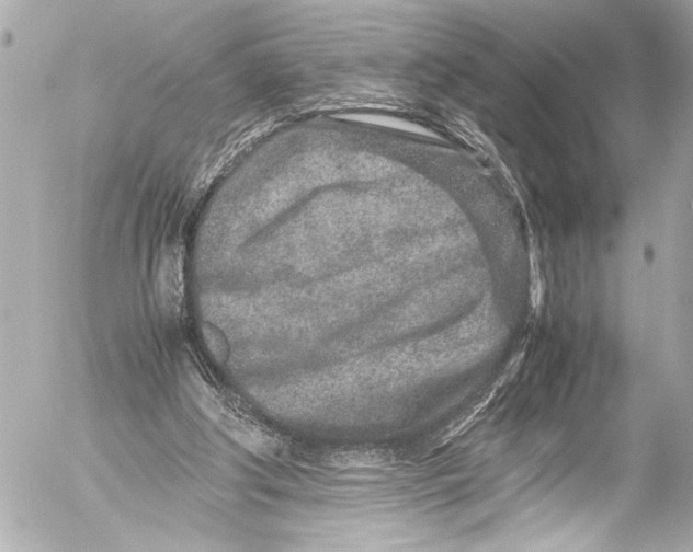 X0000054470202200508191736