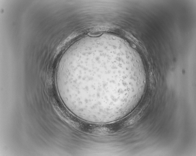 X0000054470203200508191736